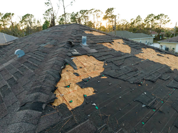 Roof Insulation in San Carlos Park, FL